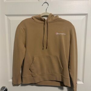 Champion Women's Brown Hoodie